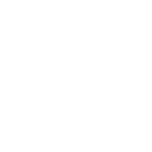 linda fern counselling fern-logo-icon